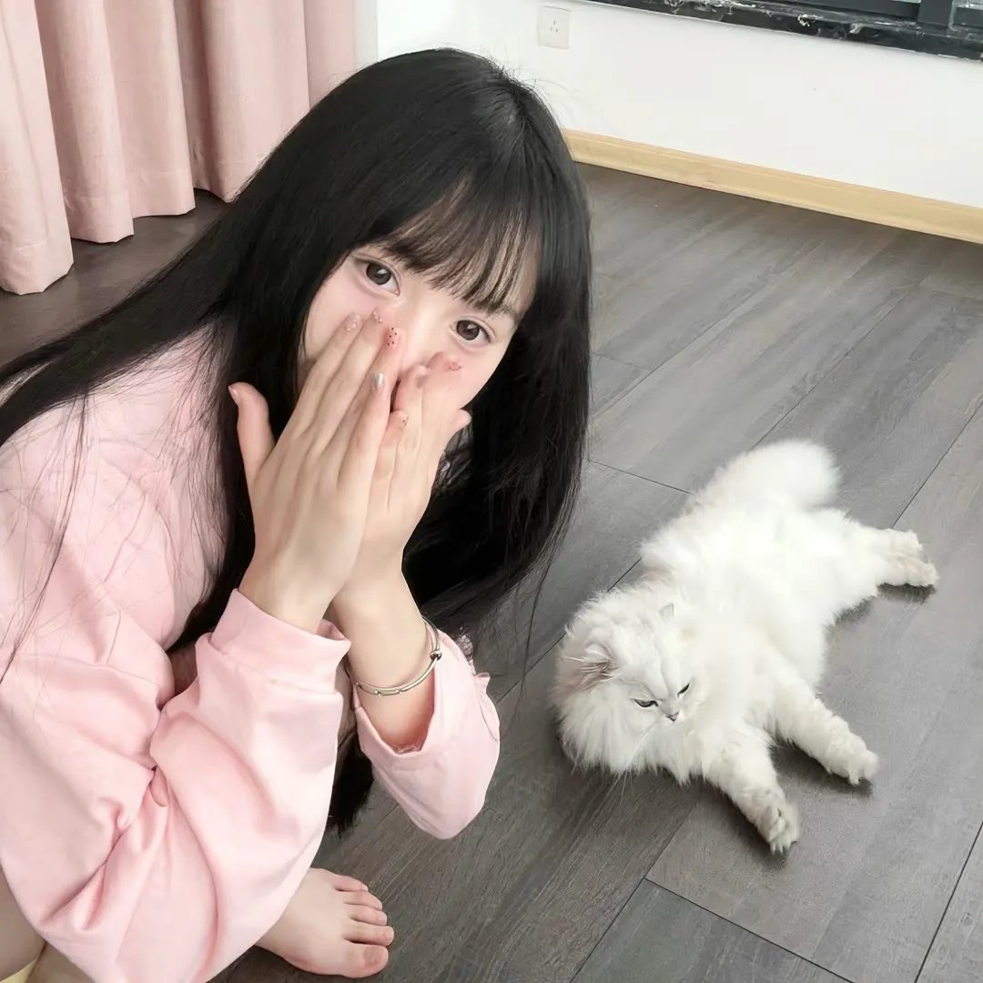 钢铁飞龙之再见奥特曼